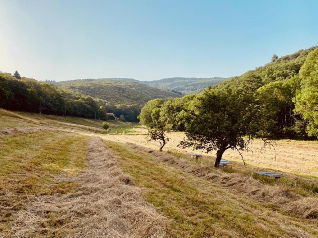 Nabat Le Haut, Chambre Et Table D'Hotes Courniou Exterior photo
