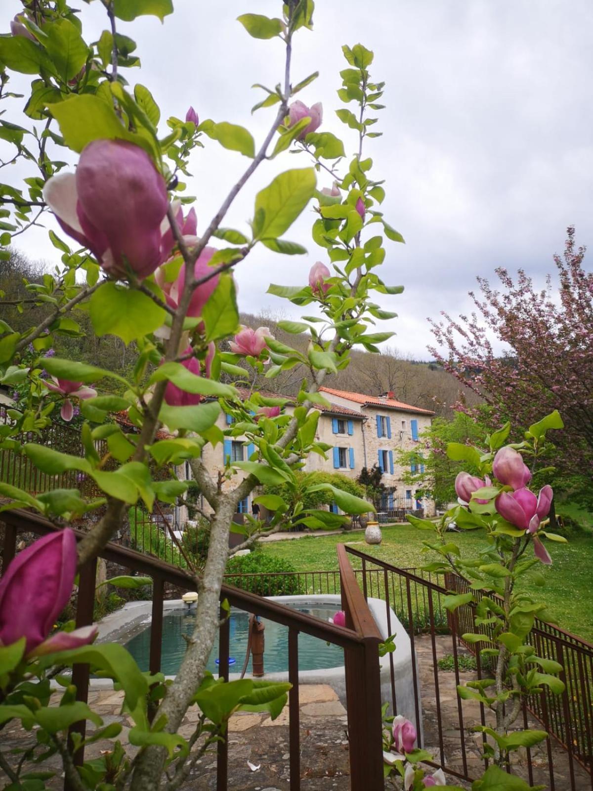 Nabat Le Haut, Chambre Et Table D'Hotes Courniou Exterior photo