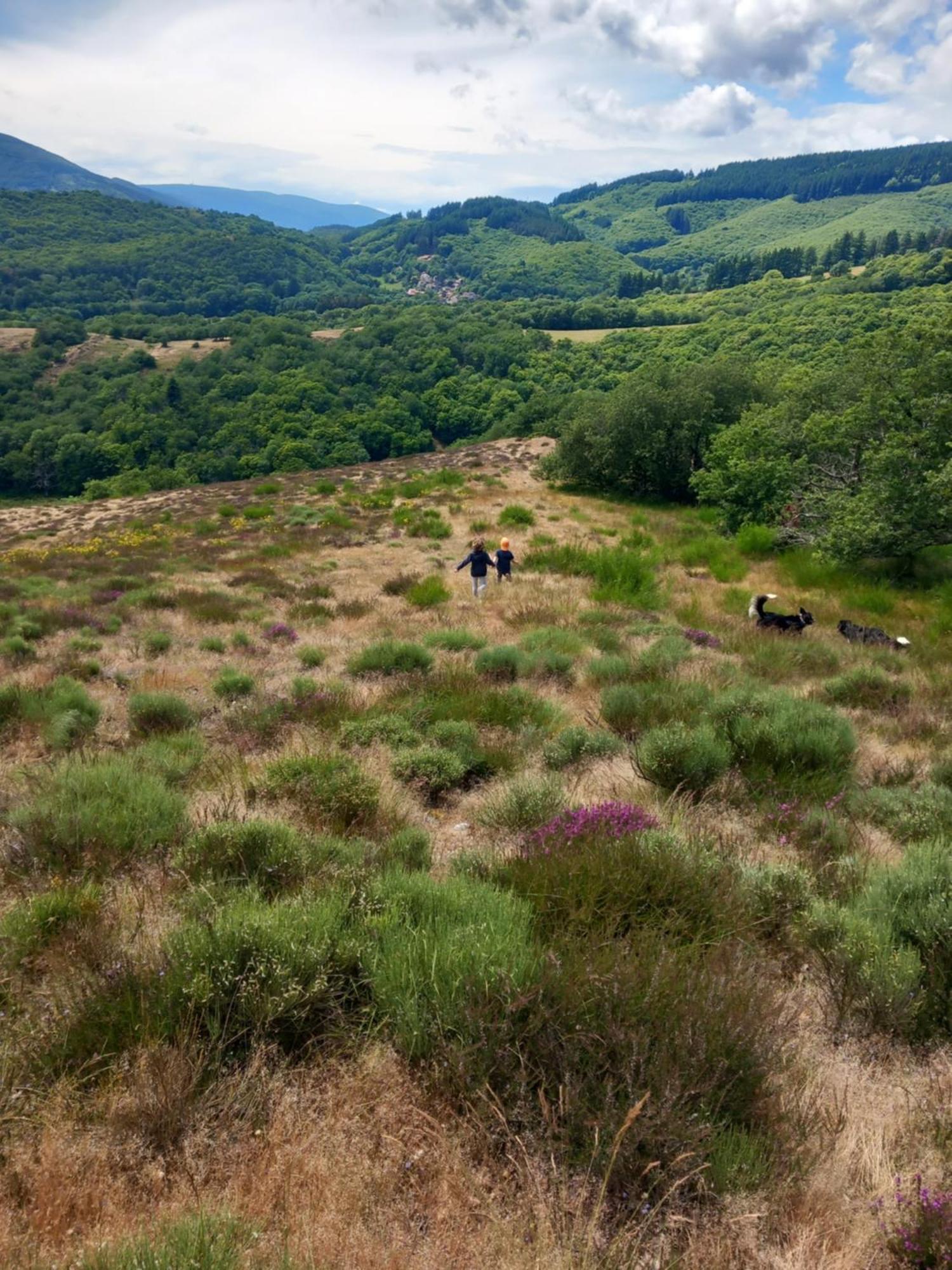 Nabat Le Haut, Chambre Et Table D'Hotes Courniou Exterior photo